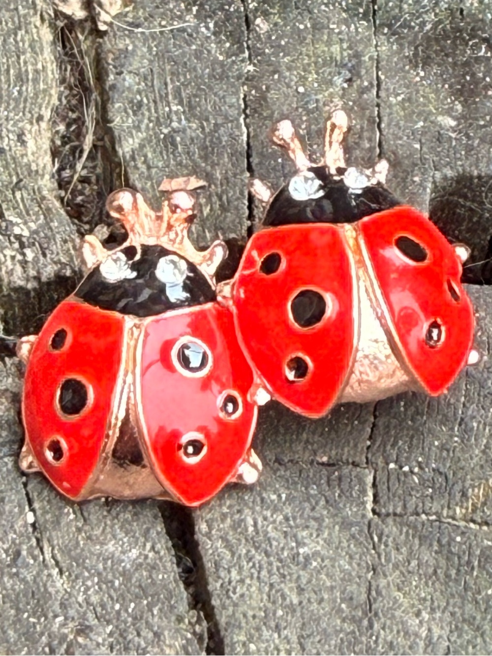 🐞 Ladybug Enamel Gold-Tone Stud Earrings - Red and Black